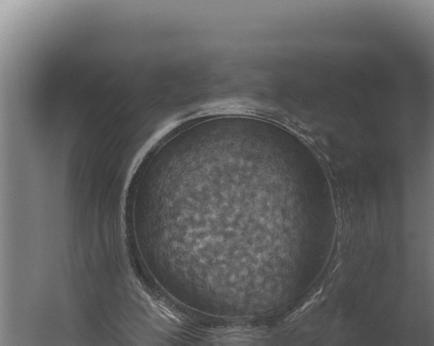 X0000060240200200511041306