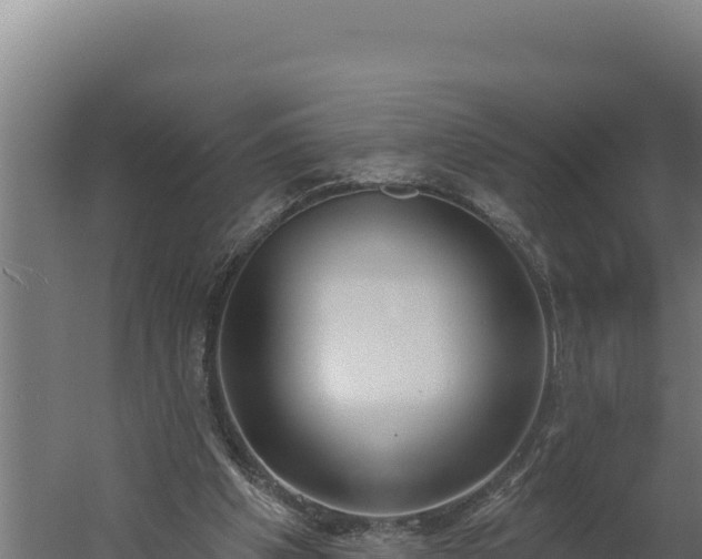 X0000060240201200511041306