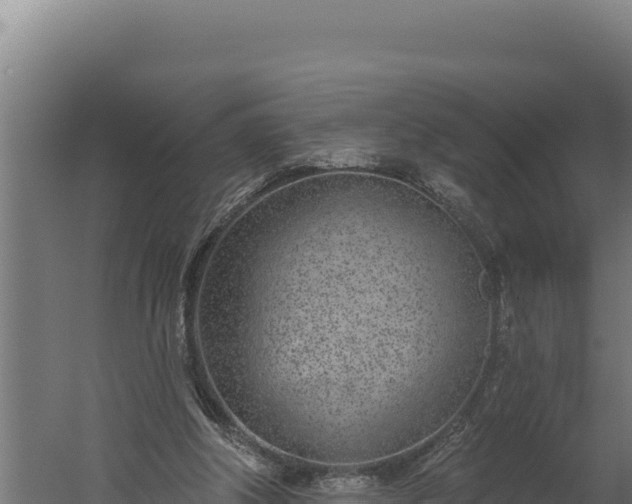 X0000060240202200511041306