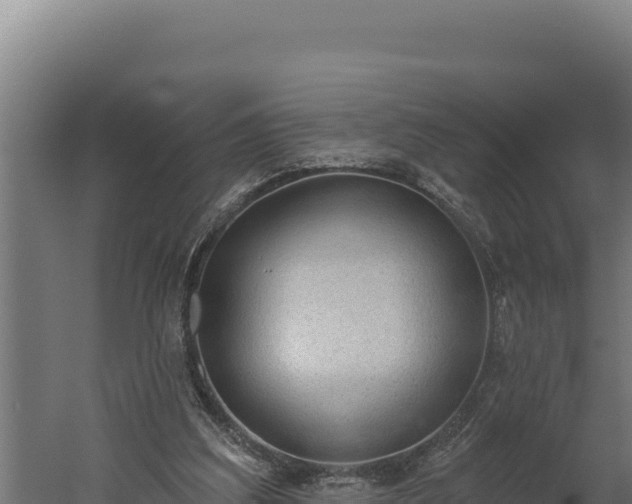 X0000060240203200511041306