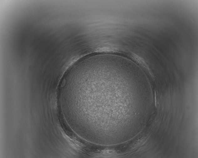 X0000060240204200511041306