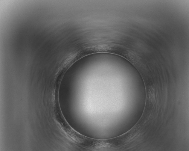 X0000060240206200511041305