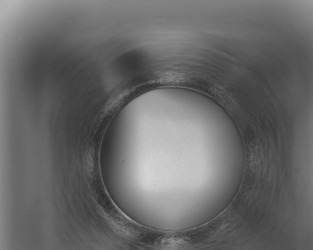 X0000060240208200511041305