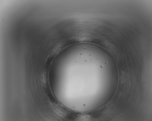 X0000060240210200511041305