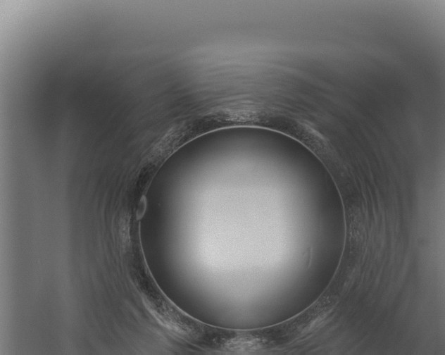 X0000060240213200511041305