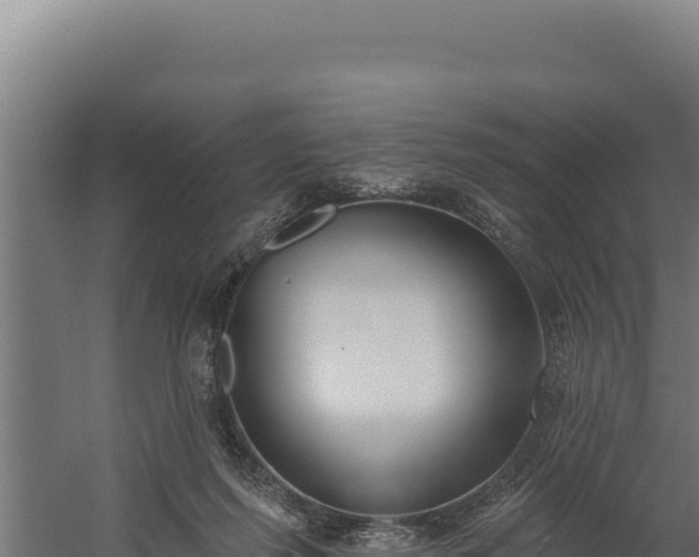 X0000060240215200511041305