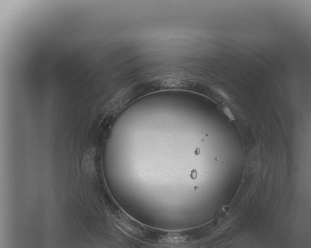 X0000060240217200511041305