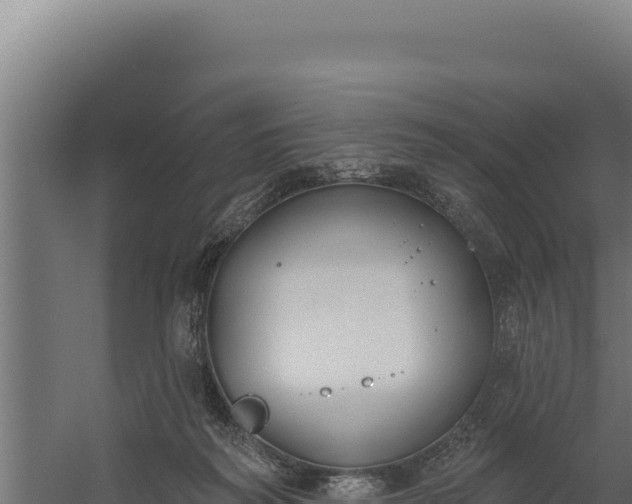 X0000060240218200511041305