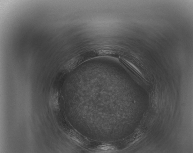 X0000060240219200511041305