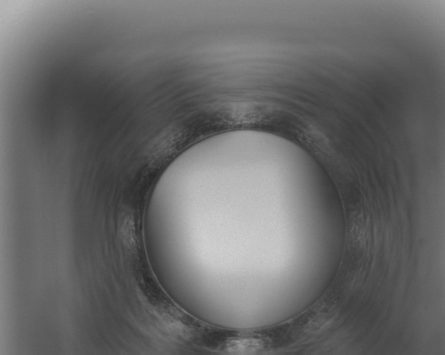 X0000060240220200511041305