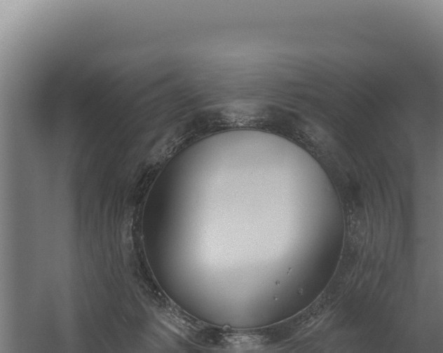 X0000060240221200511041305