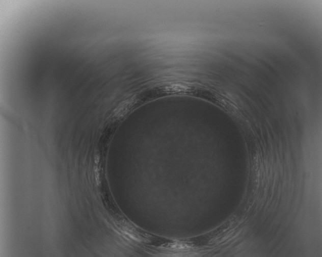 X0000060240223200511041305