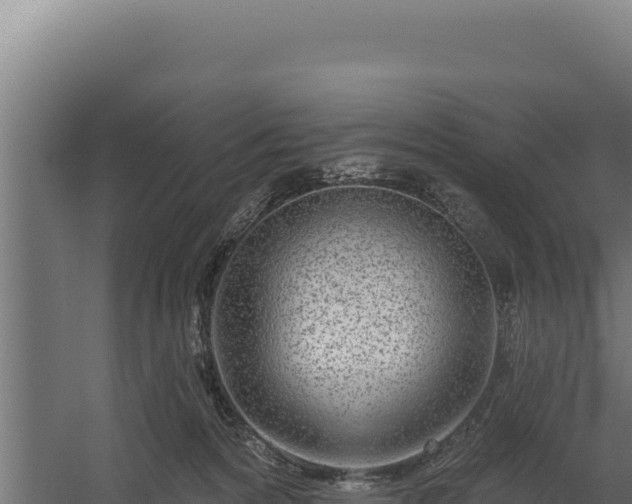 X0000060240224200511041305