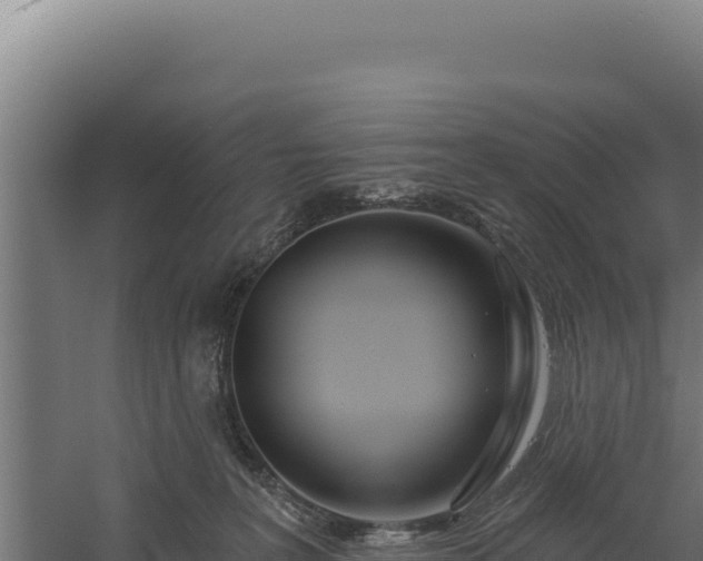 X0000060240227200511041305