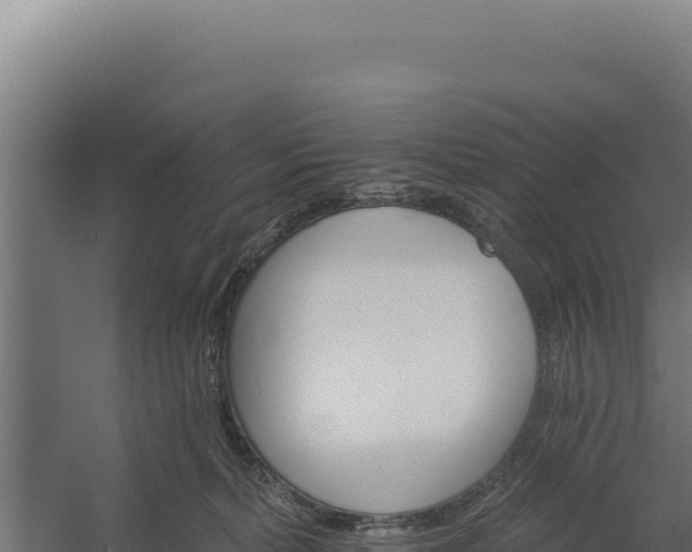 X0000060240228200511041305