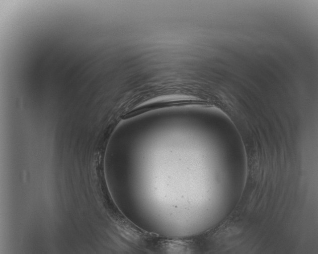 X0000060240229200511041305