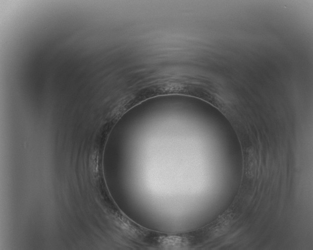 X0000060240230200511041305