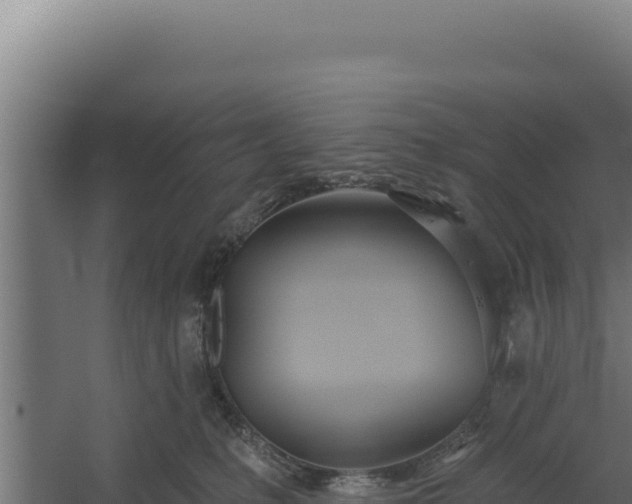 X0000060240231200511041305