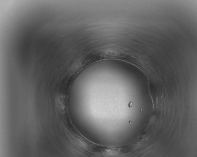 X0000060240232200511041305