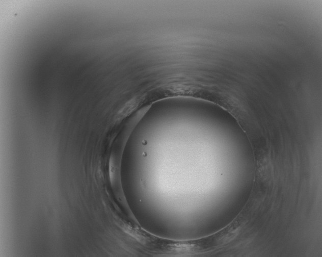 X0000060240233200511041305