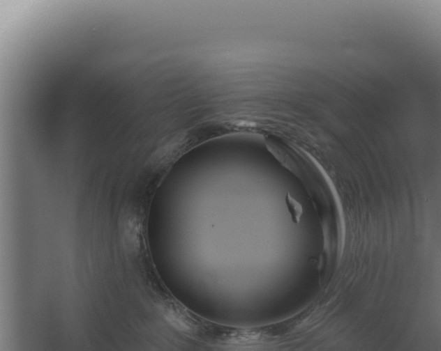 X0000060240235200511041305