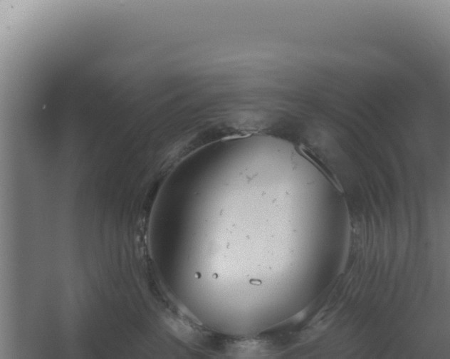 X0000060240237200511041305