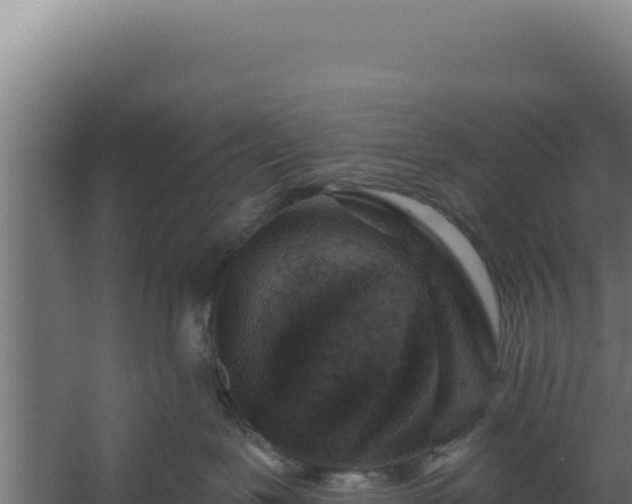 X0000060240239200511041305