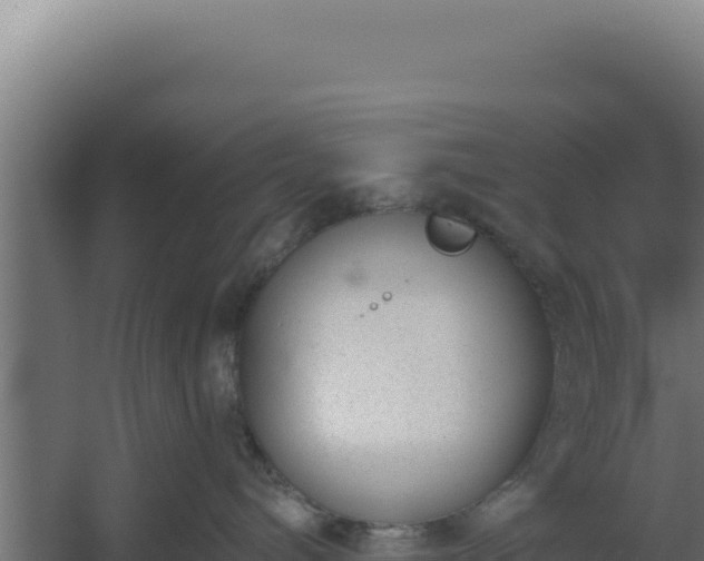 X0000060240240200511041305