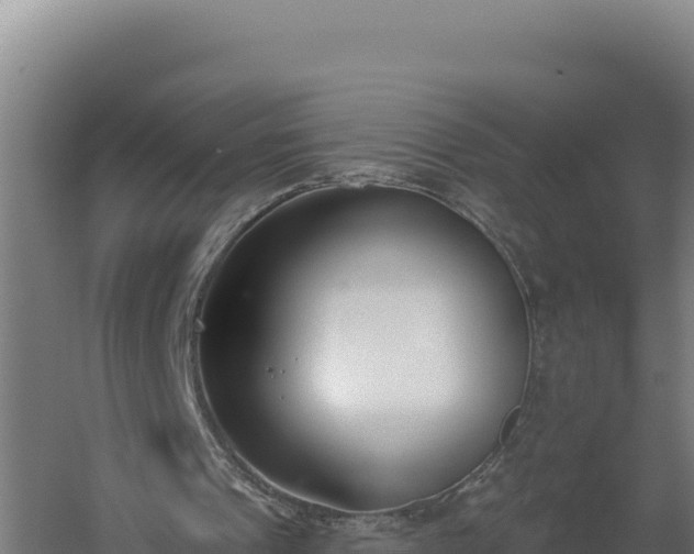 X0000060240241200511041304