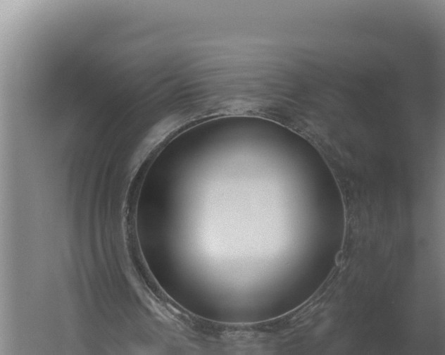 X0000060240242200511041304