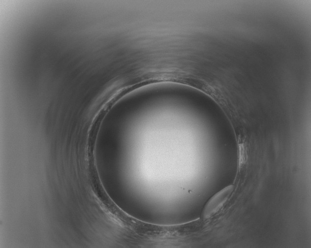 X0000060240243200511041304