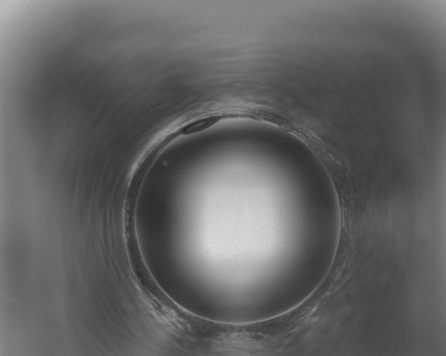 X0000060240244200511041304