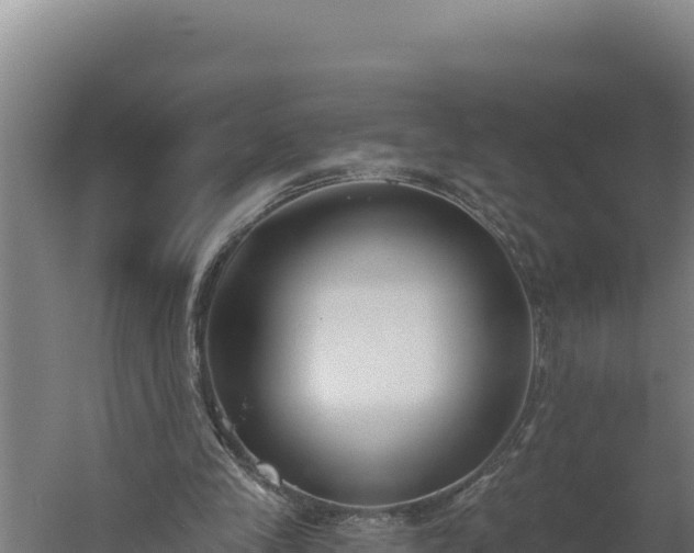 X0000060240245200511041304