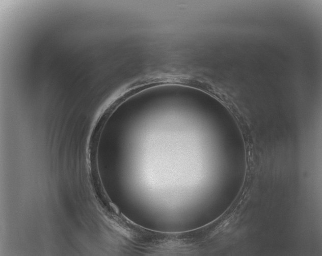 X0000060240246200511041304