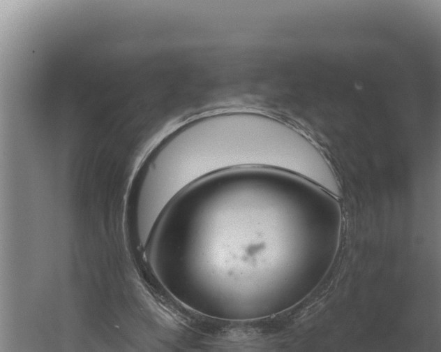 X0000060240248200511041304