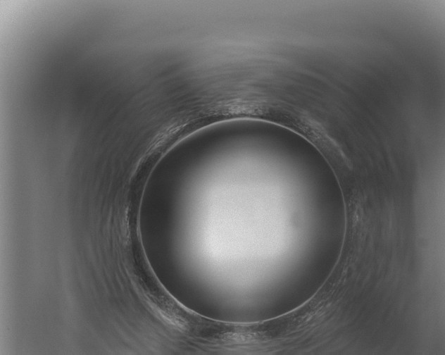 X0000060240250200511041304