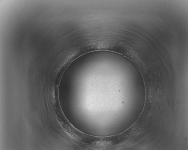 X0000060240251200511041304