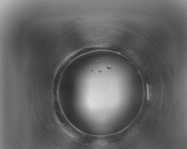 X0000060240252200511041304