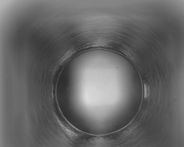 X0000060240253200511041304