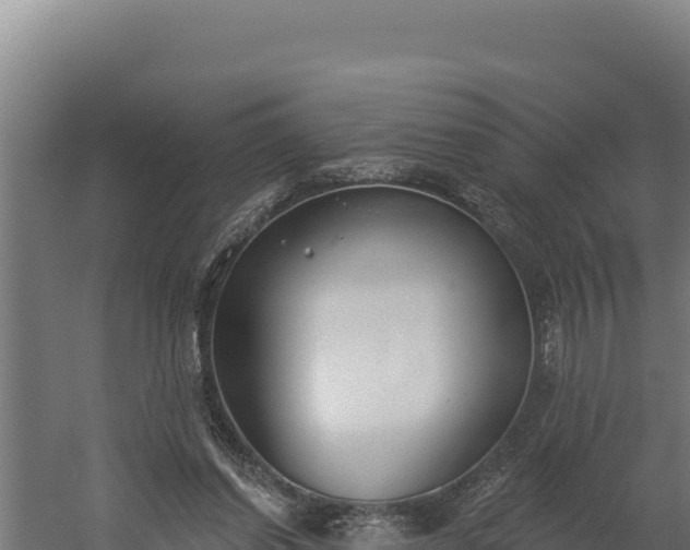 X0000060240254200511041304