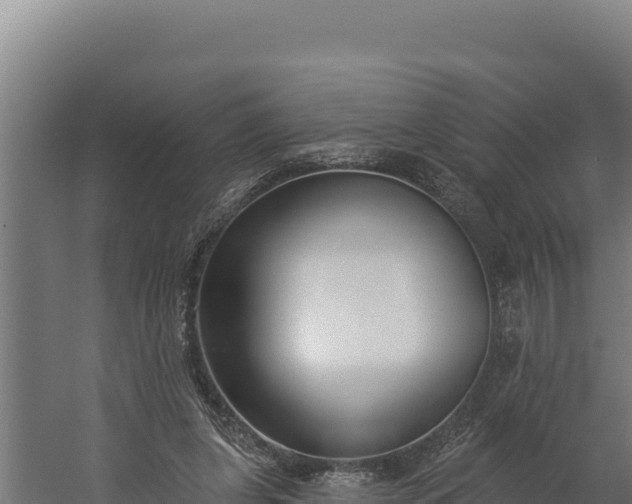 X0000060240255200511041304