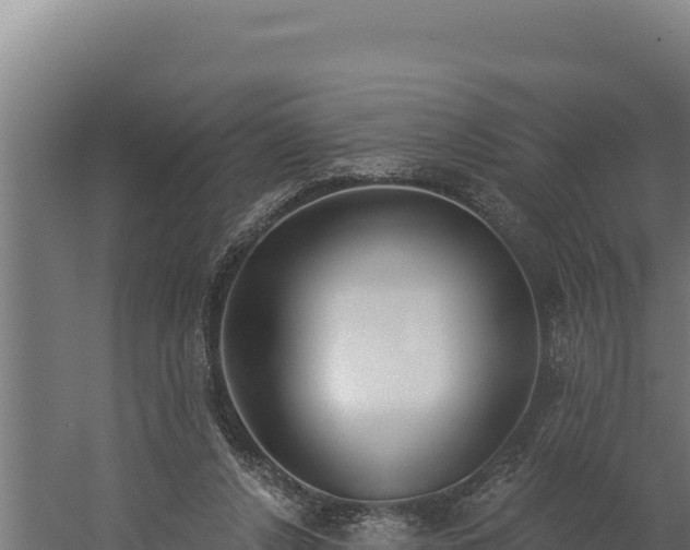 X0000060240256200511041304