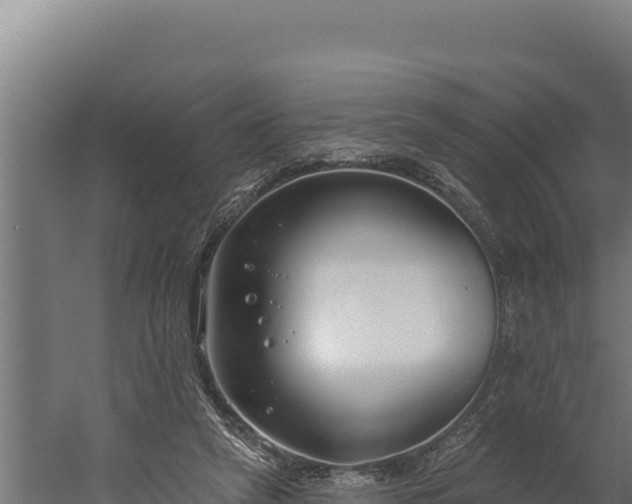 X0000060240257200511041304