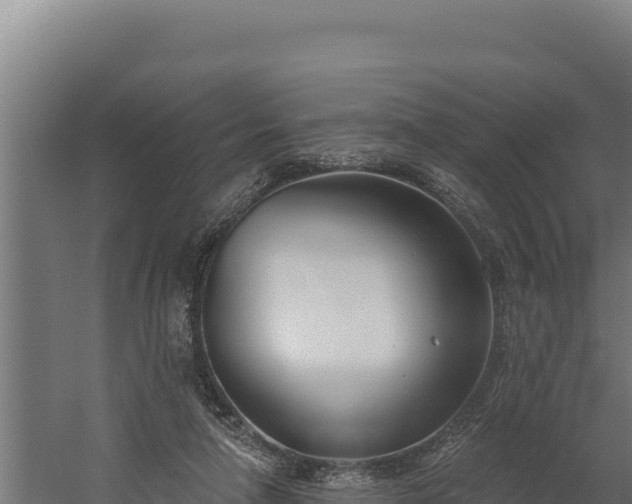 X0000060240258200511041304