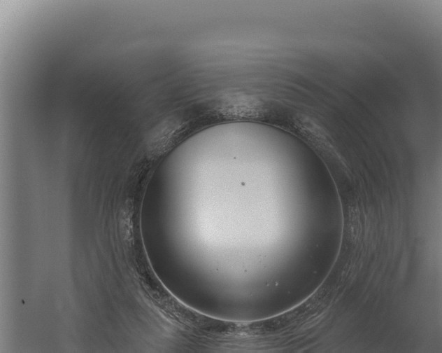 X0000060240259200511041304