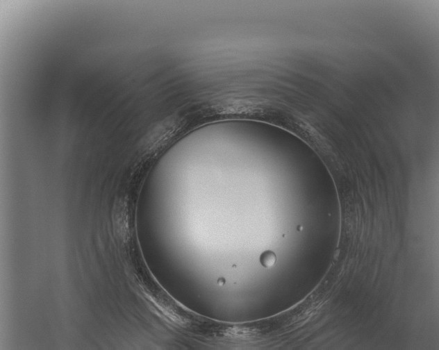 X0000060240261200511041304