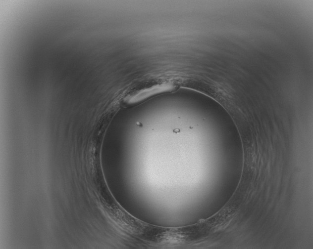 X0000060240263200511041304