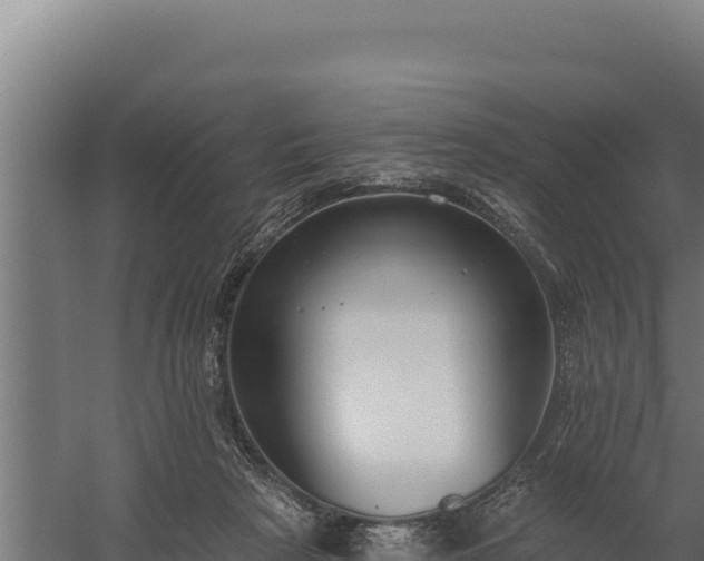 X0000060240265200511041305