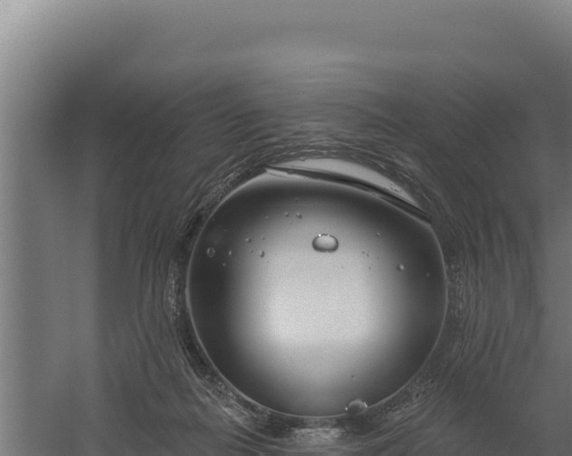 X0000060240266200511041305