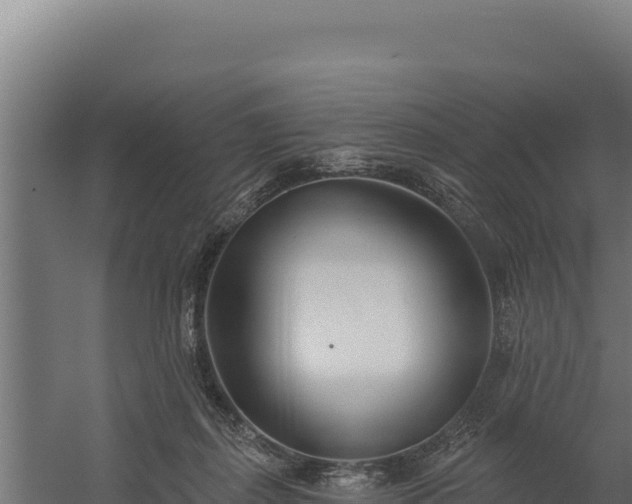 X0000060240267200511041305